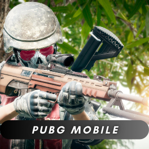 24+1 PUBG Mobile UC